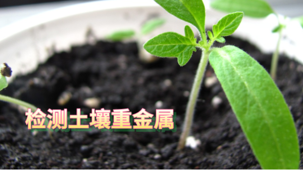 實(shí)驗(yàn)室土壤重金屬檢測(cè)全流程