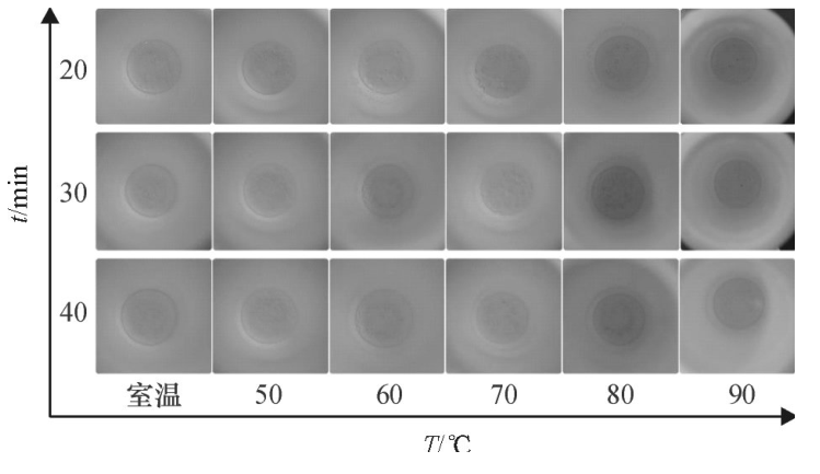 圖6不同密閉消解時(shí)間、不同水浴溫度的消解效果
