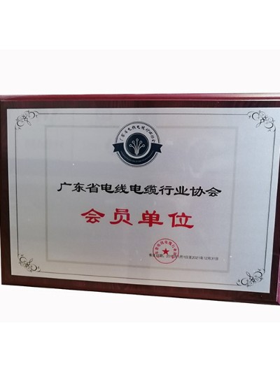 儀德科學(xué)-廣東省電線(xiàn)電纜行業(yè)協(xié)會(huì)會(huì)員